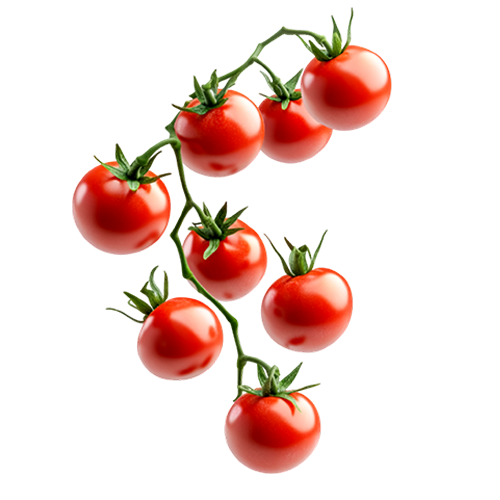 Tomaten