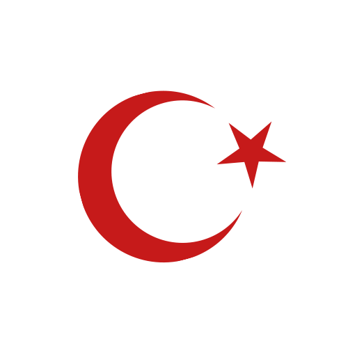 Türkische Artikel